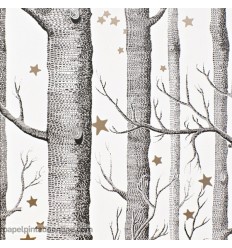 papel-de-parede-whimsical-103-11050