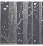 papel-de-parede-whimsical-103-11053