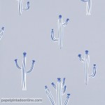 Papel de parede Smile Ref:SMIL_6975_64_14