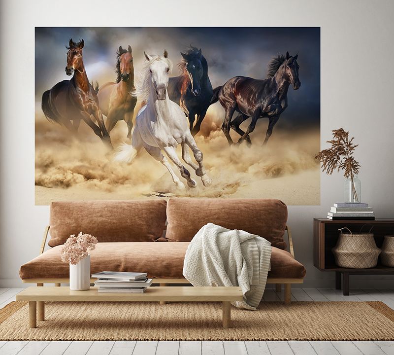 fotomural cavalos 1P-60002