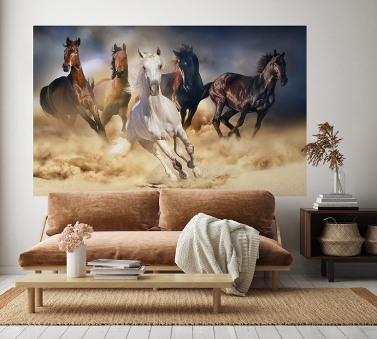 fotomural cavalos 1P-60002