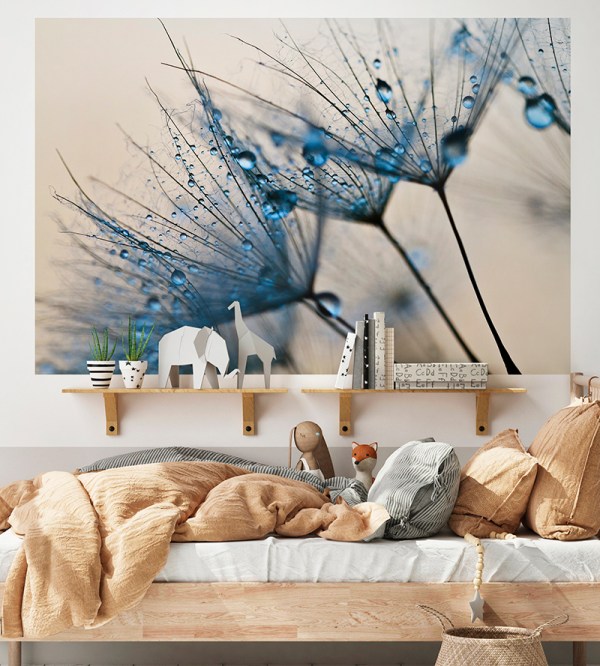 Fotomural dente de leão molhado