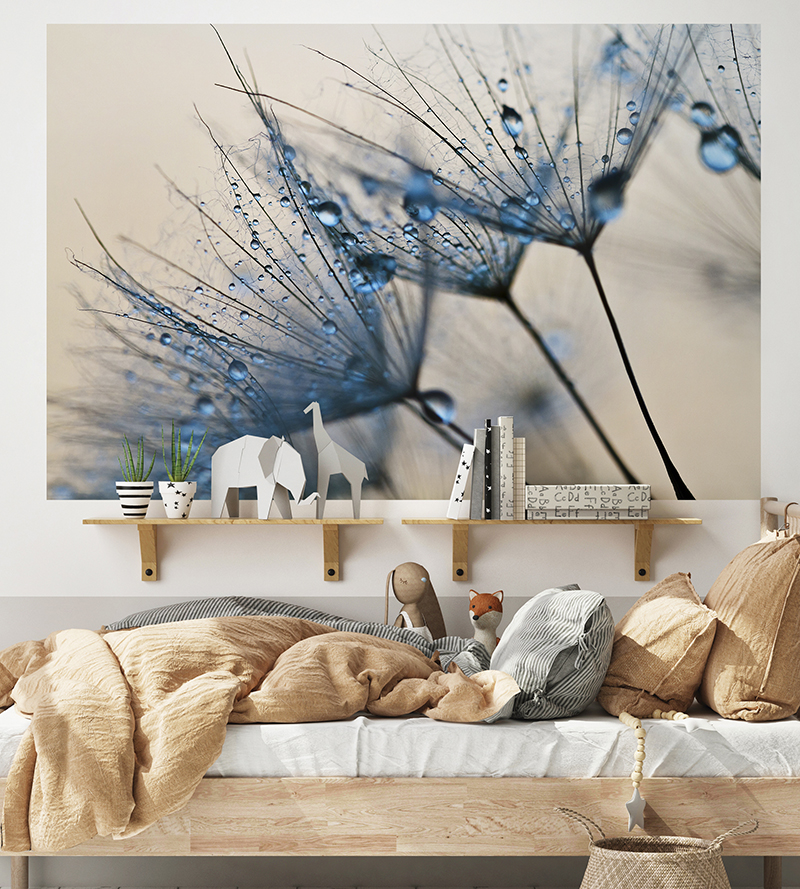 Fotomural dente de leão molhado