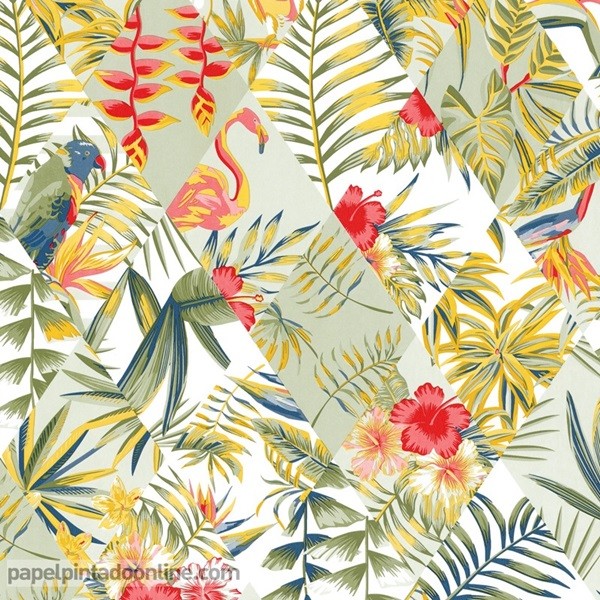 papel de parede aves e pássaros tropicais