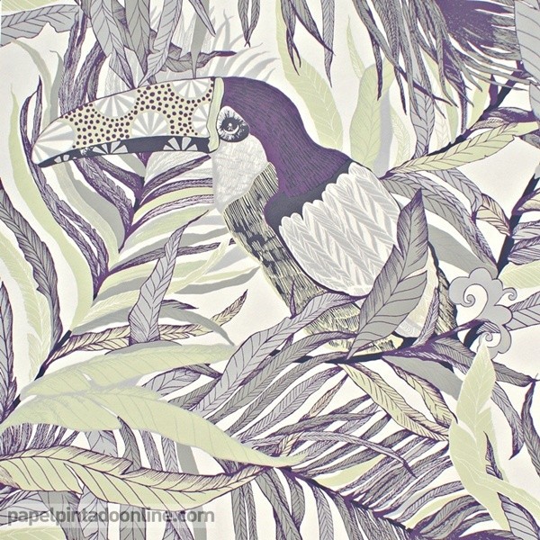papel de parede tucano