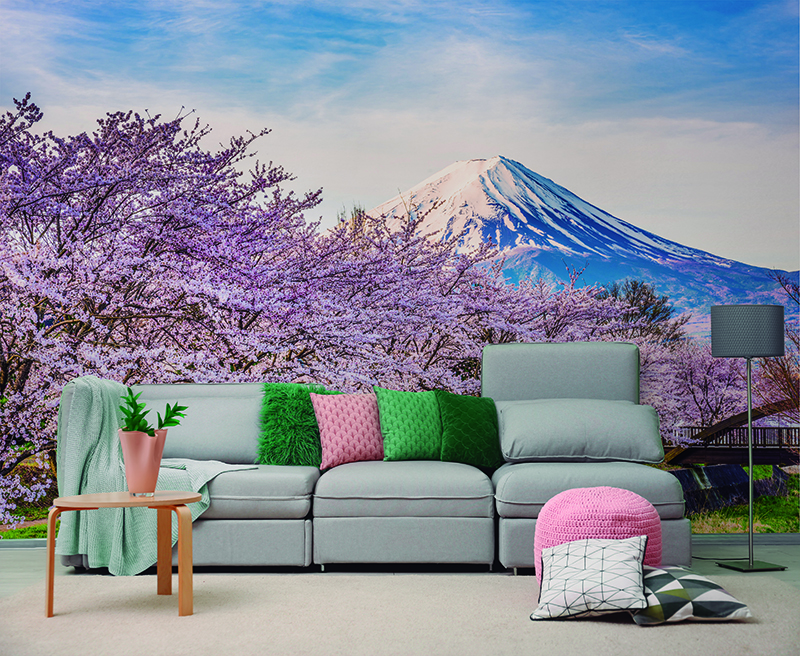 fotomural monte fuji