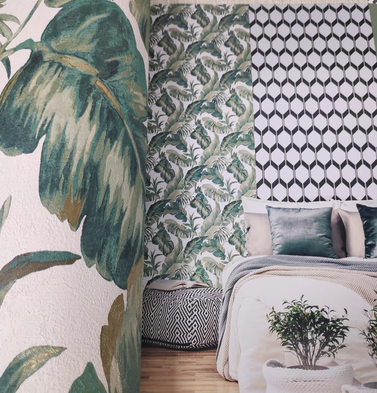 papel de parede amazonia